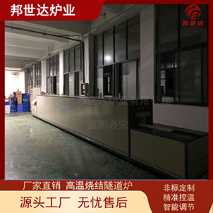 齒科素?zé)瓢甯G 磷酸鐵鋰推板爐 熱處理爐